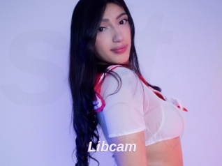 Libcam