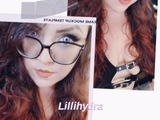 Lillihydra
