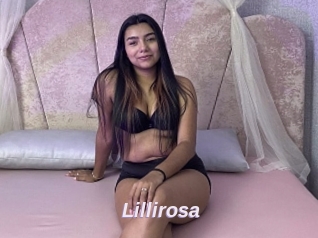 Lillirosa