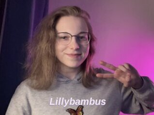 Lillybambus
