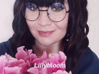Lillybloom
