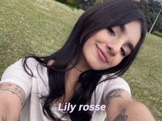 Lily_rosse