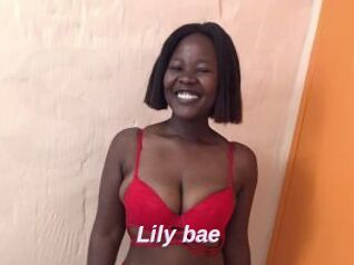 Lily_bae