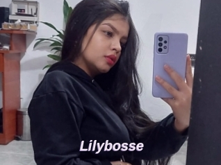 Lilybosse