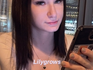 Lilygrows