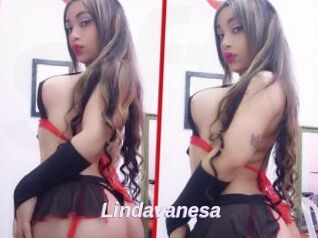 Lindavanesa