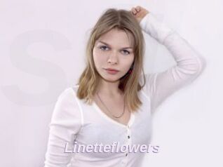 Linetteflowers
