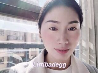 Littlbadegg