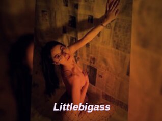 Littlebigass