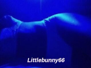 Littlebunny66