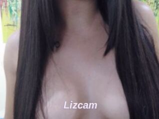 Lizcam