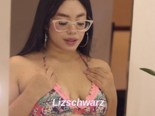 Lizschwarz