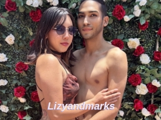 Lizyandmarks