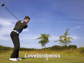 Lovebirdpenis