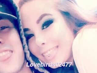 Lovebirds02477