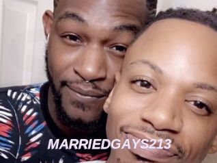 MARRIEDGAYS213