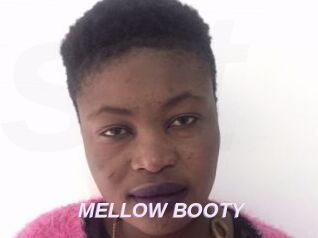 MELLOW_BOOTY