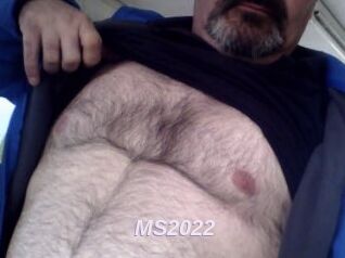 MS2022