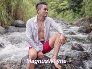 MagnusWayne