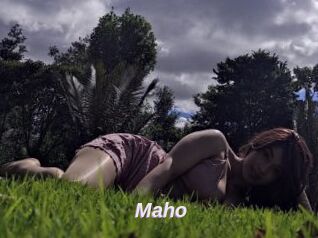 Maho