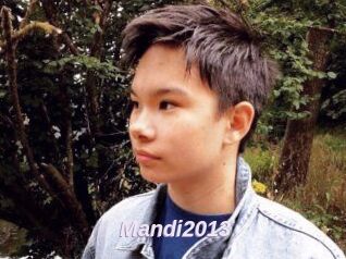Mandi2013