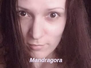 Mandragora