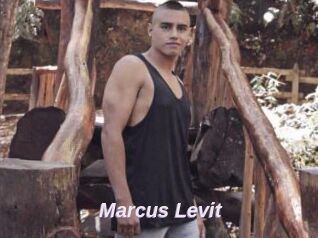 Marcus_Levit
