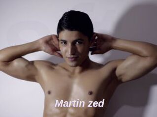 Martin_zed