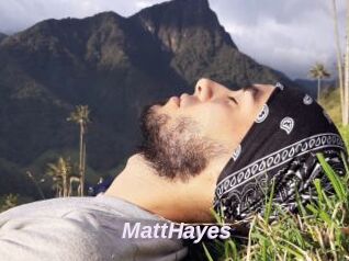 MattHayes