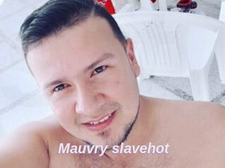 Mauvry_slavehot
