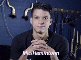 MaxHamintonn