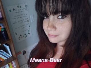Meana_Bear