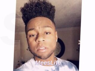 MeesLife