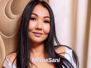 MeinaSani