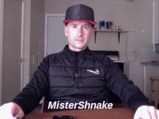 MisterShnake