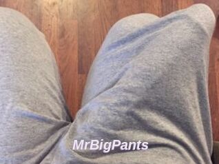 MrBigPants