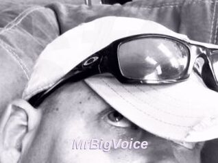 MrBigVoice