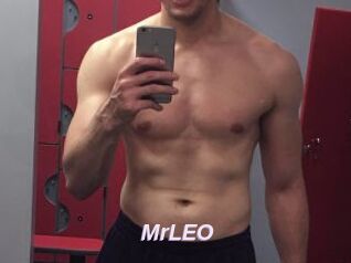 MrLEO