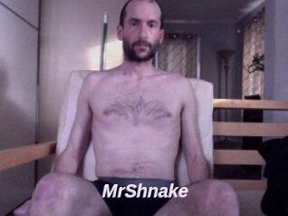 MrShnake