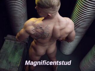 Magnificentstud