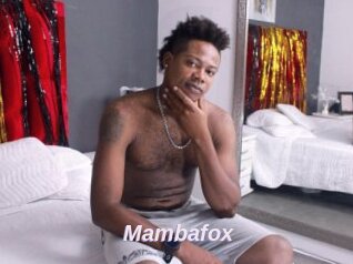 Mambafox