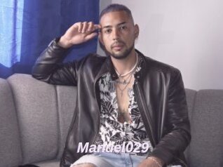 Manuel029