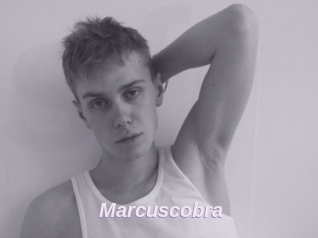 Marcuscobra