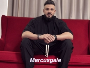 Marcusgale