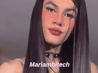 Mariambitech