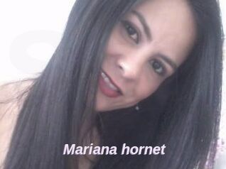 Mariana_hornet