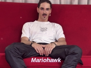 Mariohawk
