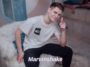 Marvinshake