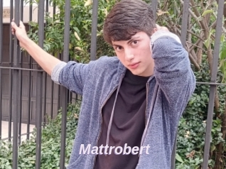 Mattrobert