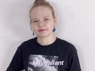 Maygallant
